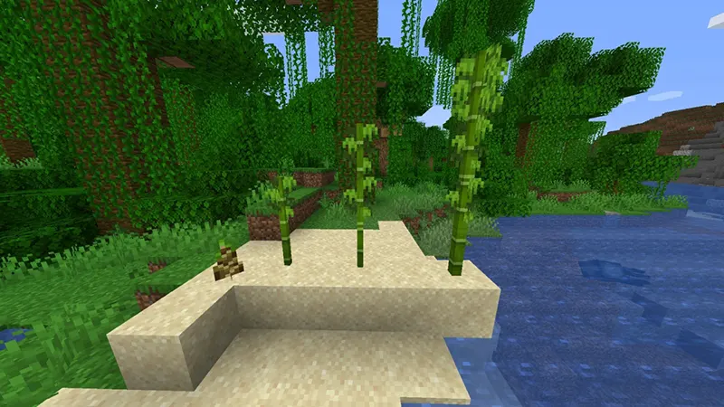 Tre (Bamboo)