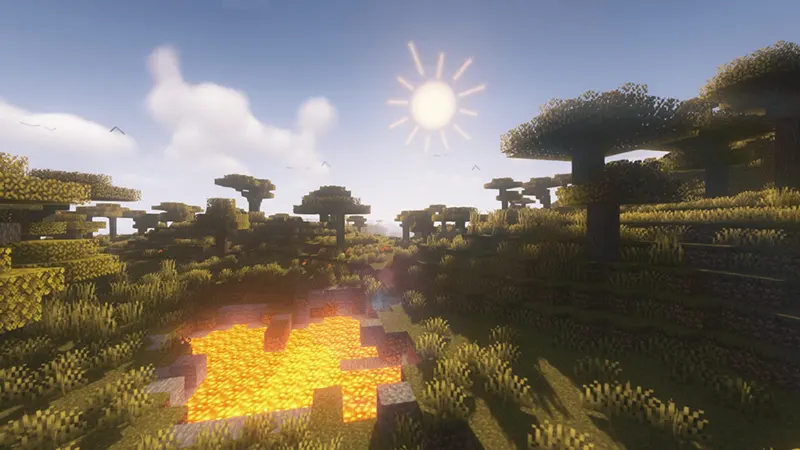 Tương thích với đa dạng Shader Pack