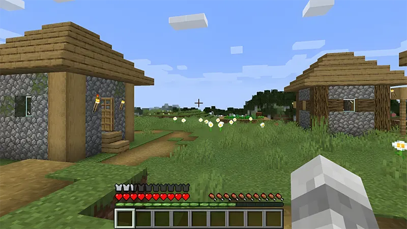 Cách Chỉnh góc nhìn trong Minecraft ️ 👁️ 🔄 | PC/Mac, PE, PS3, PS4