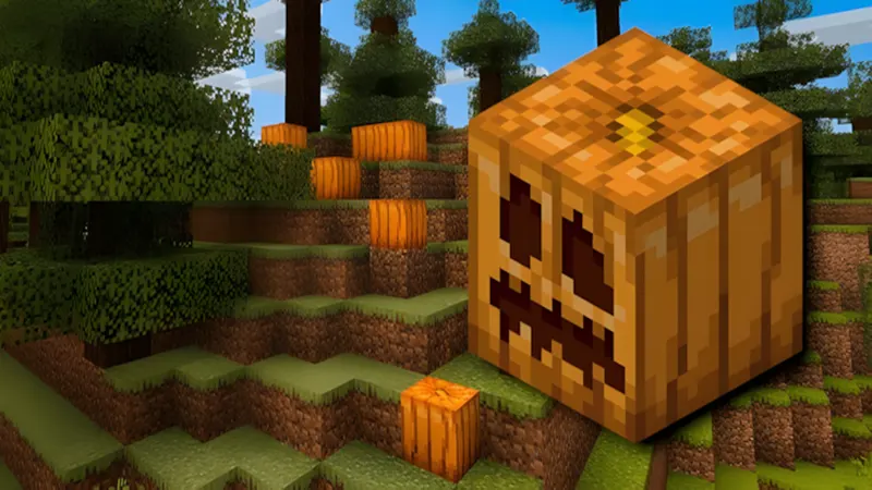 Cách tìm kiếm bí ngô trong Minecraft
