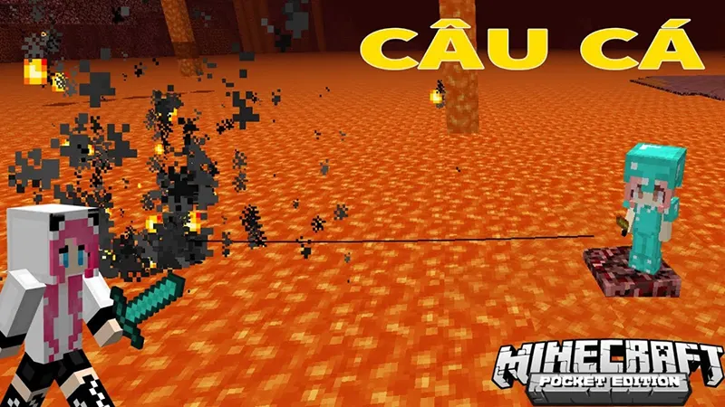 Cải thiện cơ chế câu cá