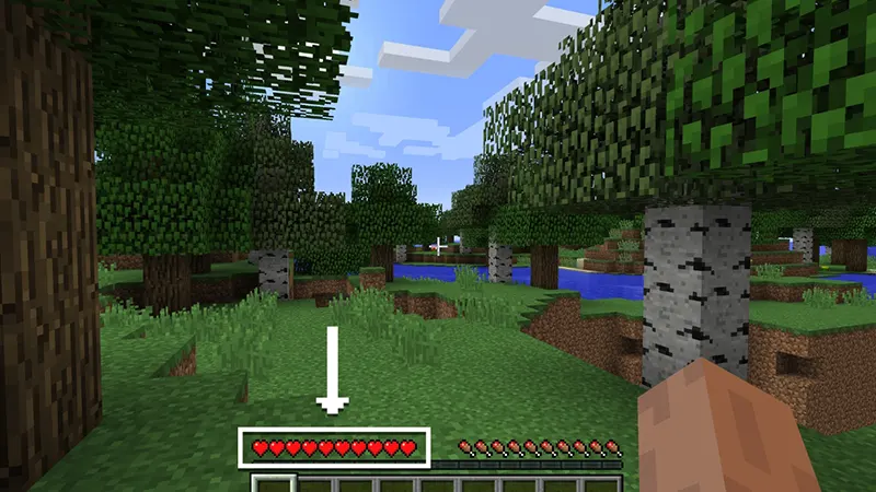 Gameplay