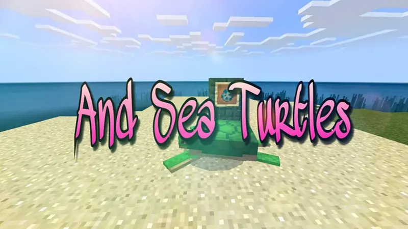 Sea Turtles và trứng rùa