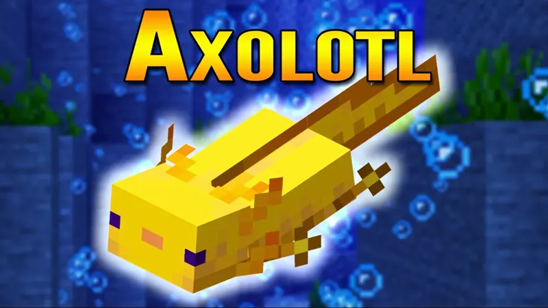 Axolotl – sinh vật lưỡng cư dưới nước