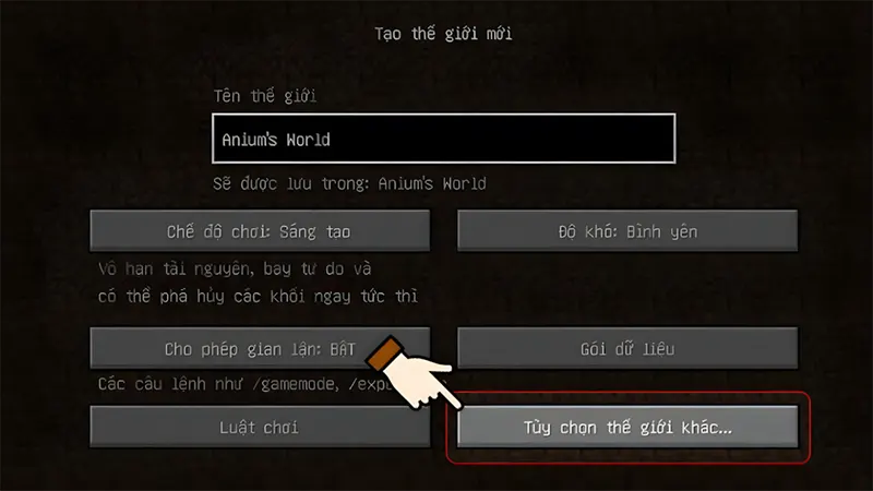 Bước 2: Nhập tên riêng và tùy chỉnh cơ bản