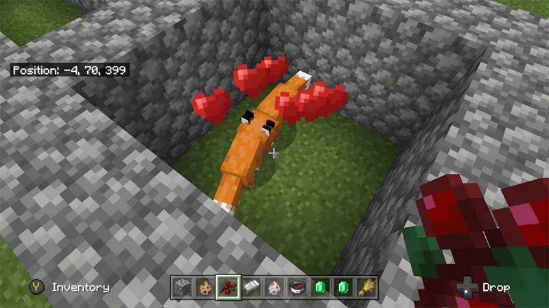 Cáo trong minecraft ăn gì (quả mọng ngọt, mọng phát sáng)