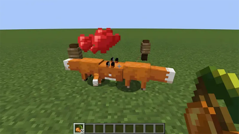 Cáo Trong Minecraft Ăn Gì