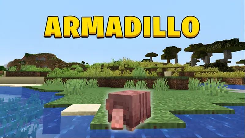 Động vật armadillo và tính năng giáp