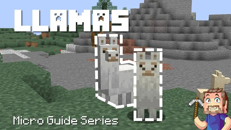 Llamas