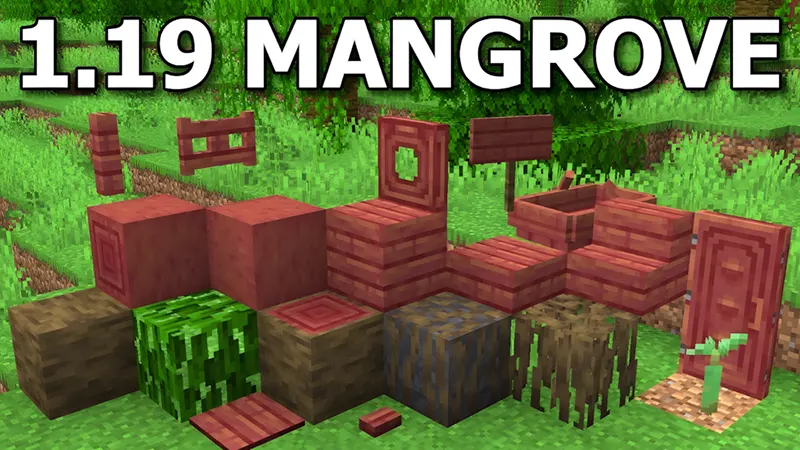 Mangrove swamp biome