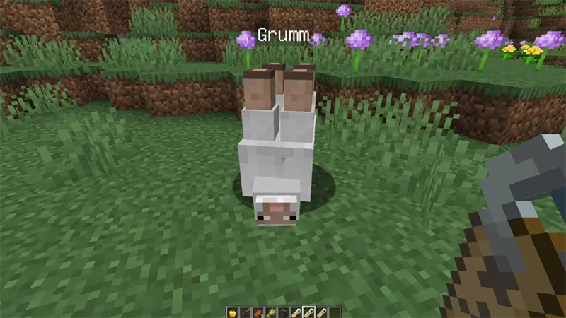 Những "Easter Egg" thú vị về cừu