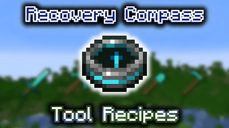 Recovery compass
