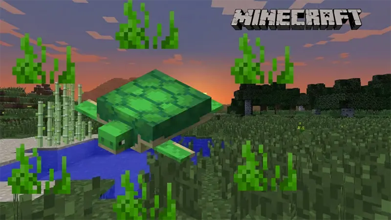 Rùa trong Minecraft ăn gì? (Cỏ Biển)