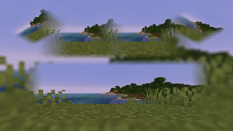 Spectator mode (Java)